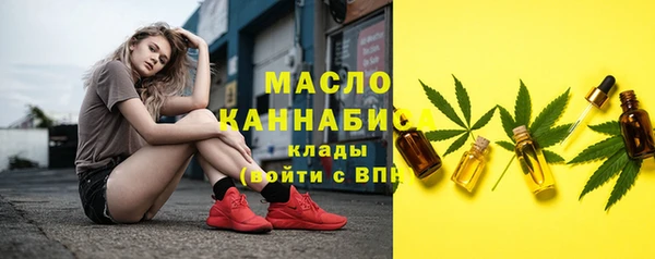 гидра Заводоуковск