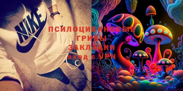 гидра Заводоуковск