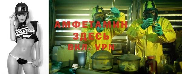 гидра Заводоуковск